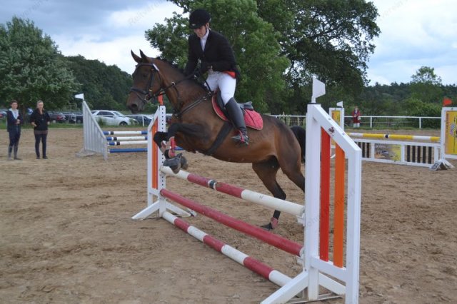 reitertag 2013 84
